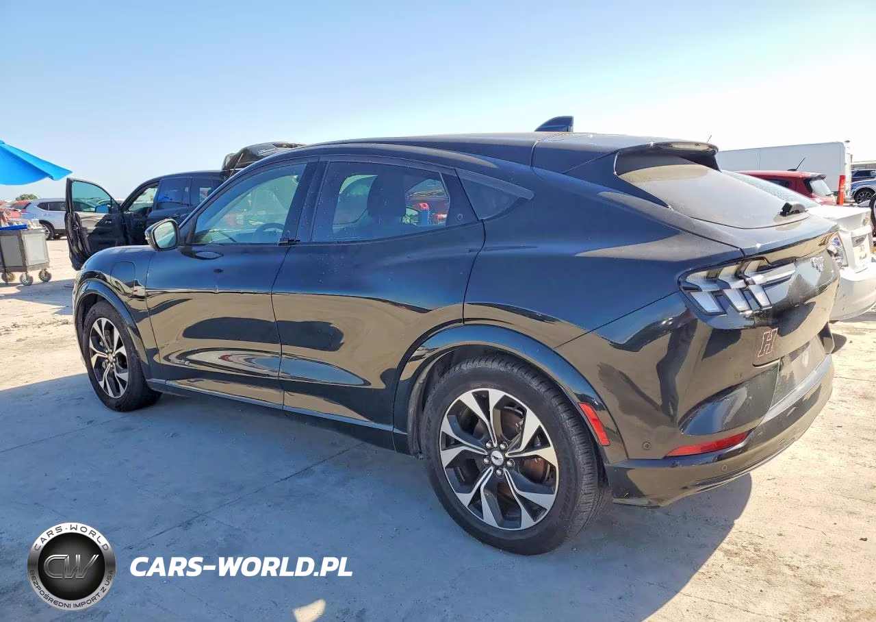 2021 Ford Mustang Mach-E Premium VIN:3FMTK3RM6MMA38992 - 2
