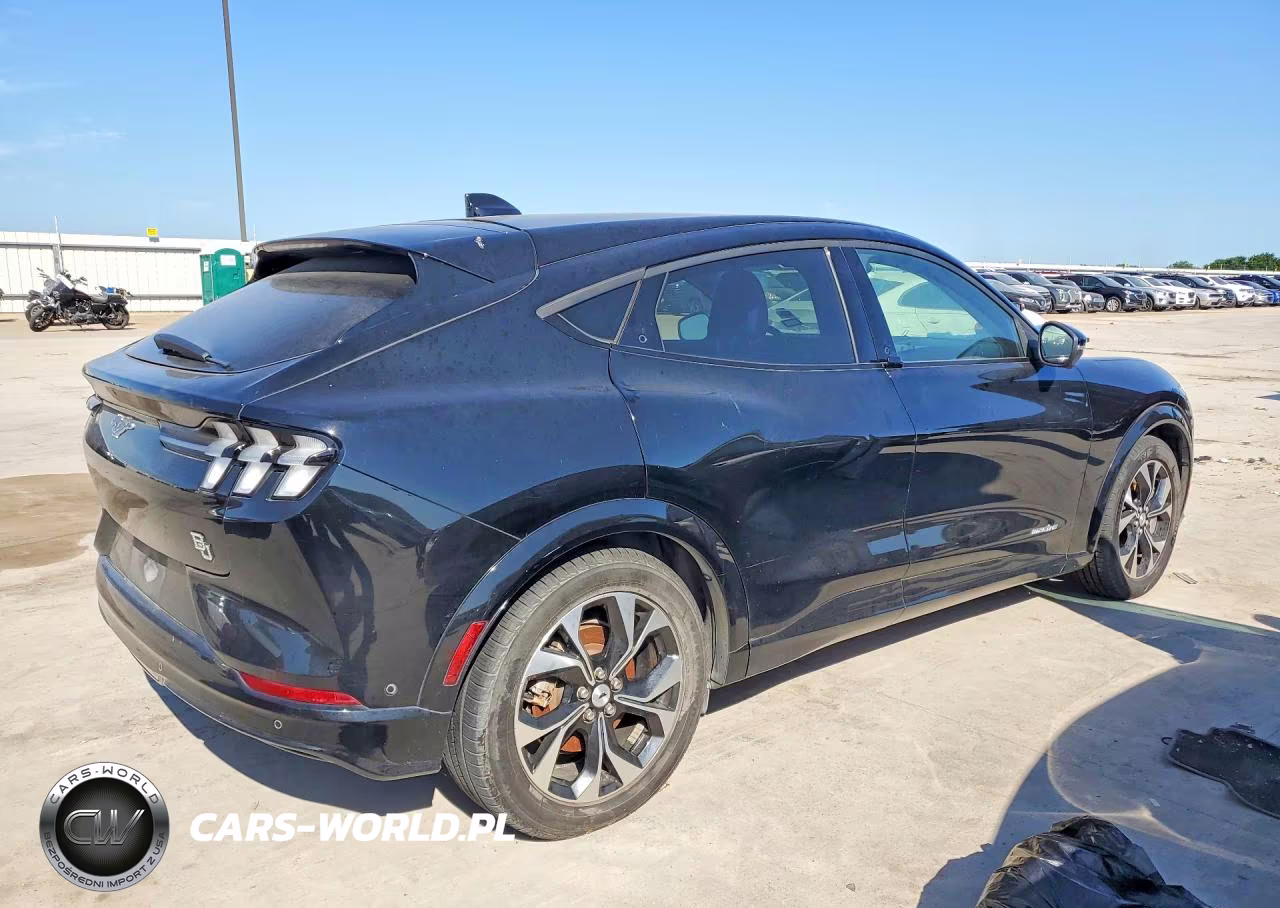 2021 Ford Mustang Mach-E Premium VIN:3FMTK3RM6MMA38992 - 3