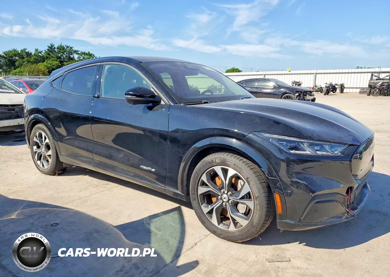 2021 Ford Mustang Mach-E Premium VIN:3FMTK3RM6MMA38992 - 4