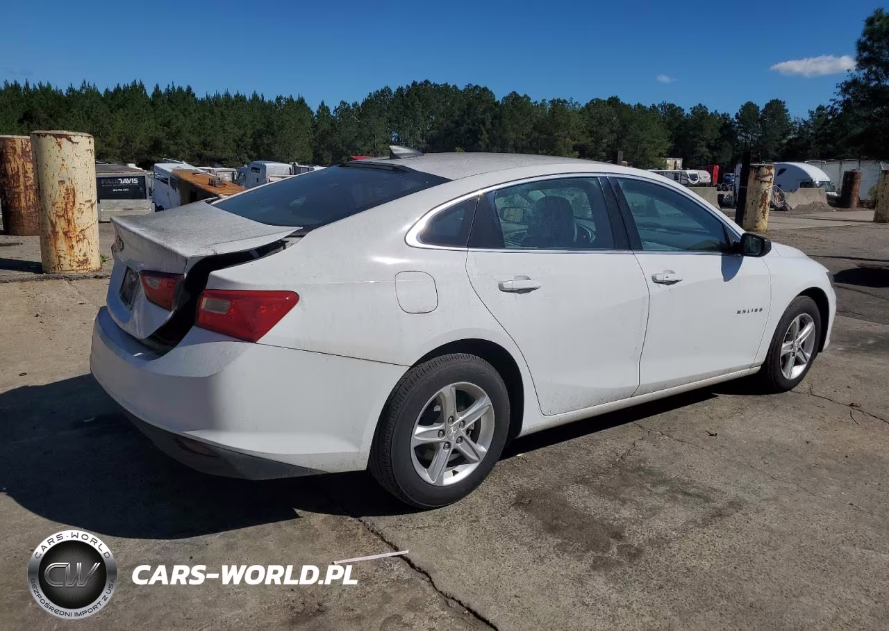 2019 Chevrolet Malibu Ls VIN:1G1ZB5ST2KF118839 - 3
