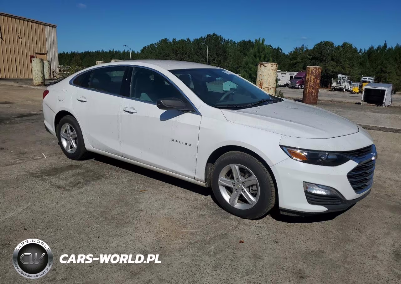 2019 Chevrolet Malibu Ls VIN:1G1ZB5ST2KF118839 - 4