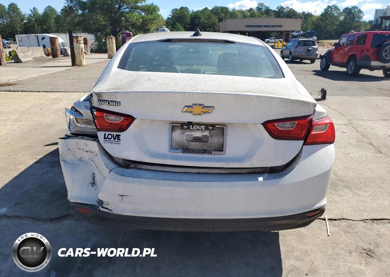 2019 Chevrolet Malibu Ls VIN:1G1ZB5ST2KF118839 - 6