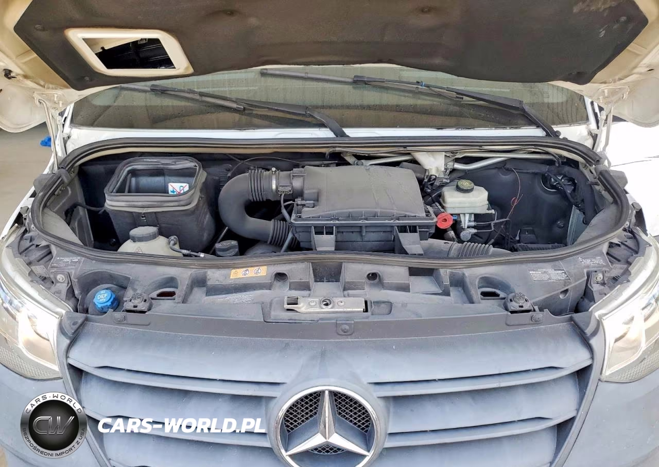 2019 Mercedes Benz Sprinter 3500 Delivery Van VIN:W1W5EDHY8KT018535 - 12