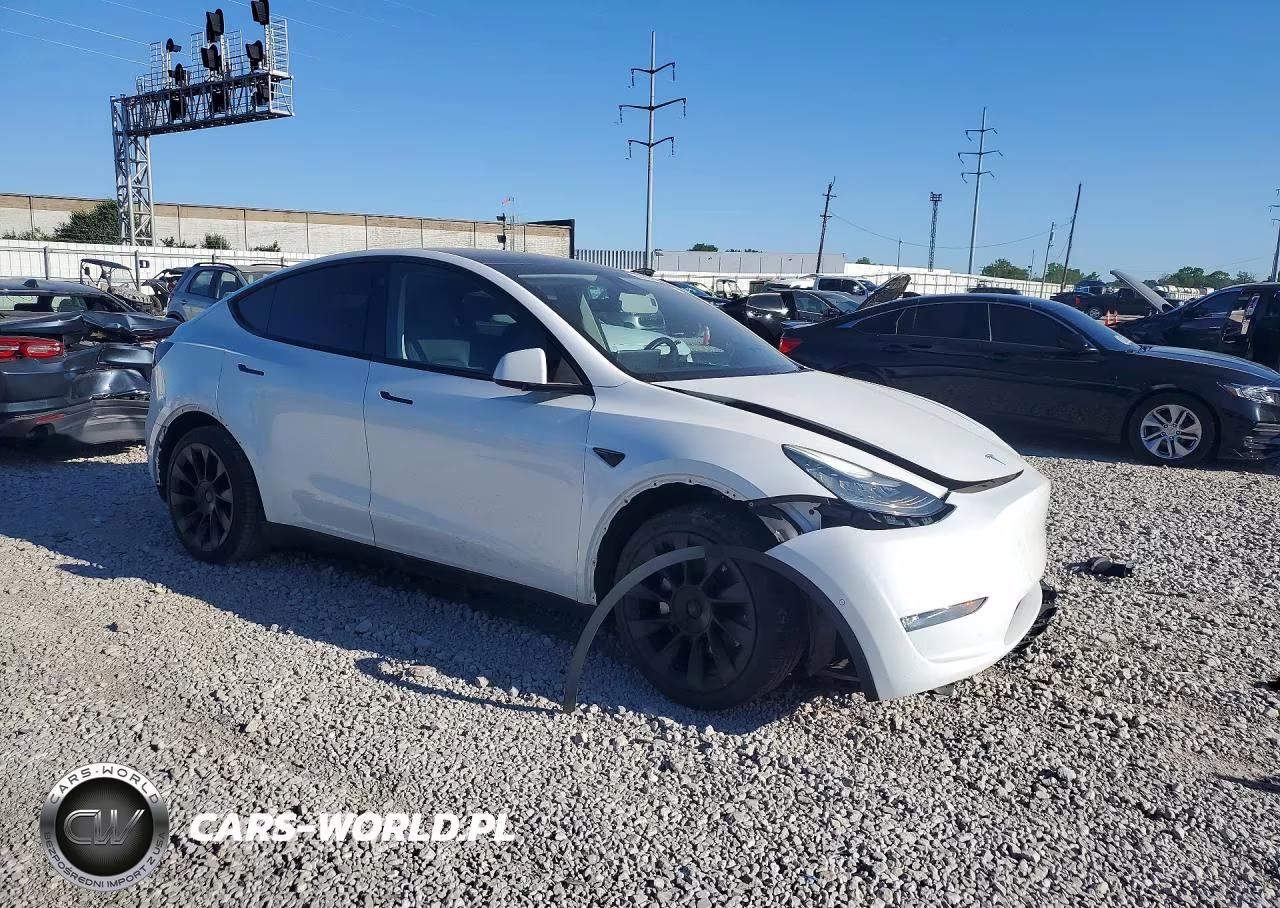 2020 Tesla Model Y VIN:5YJYGDEE6LF037389 - 4