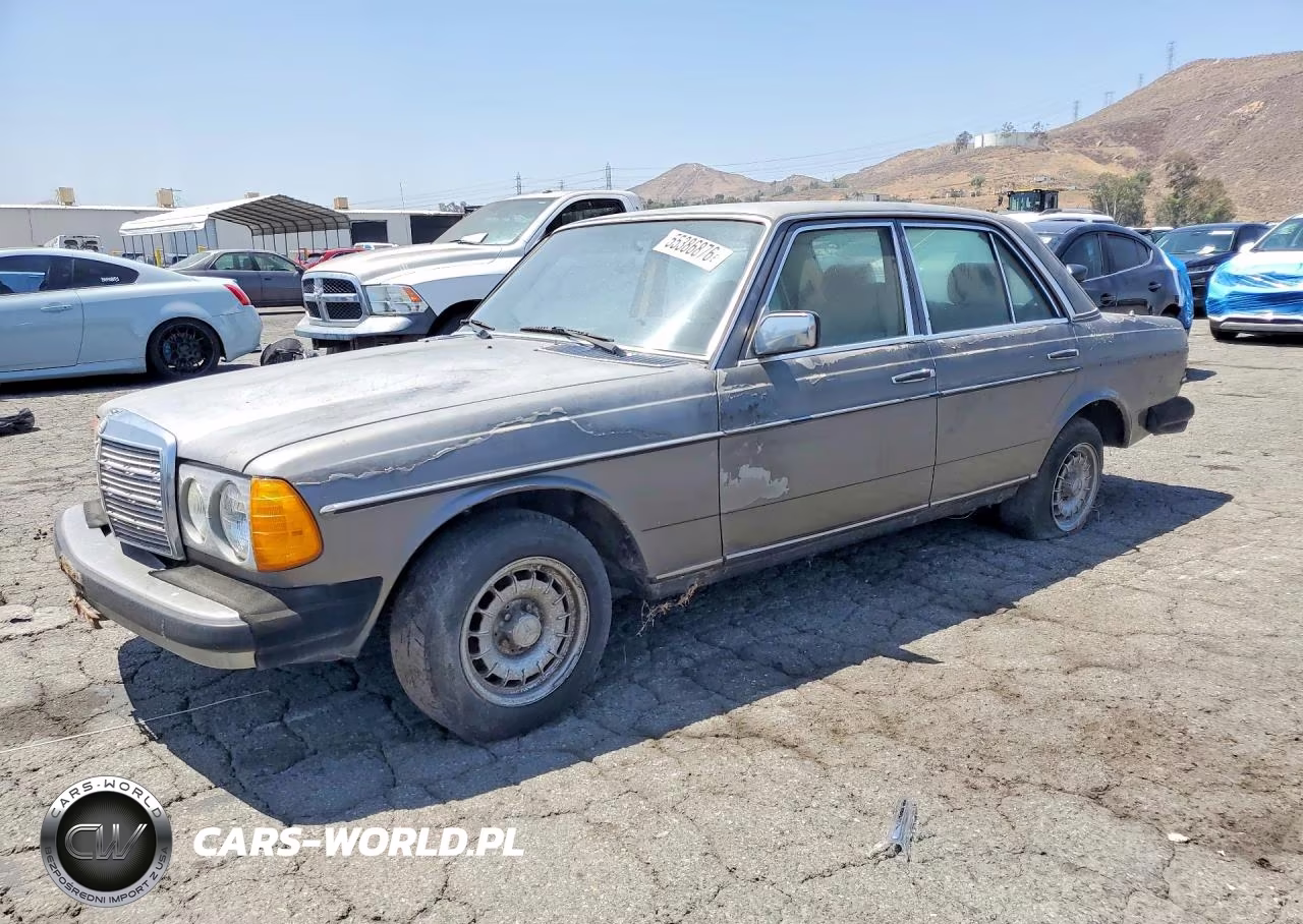 1981 Merz 280-Class