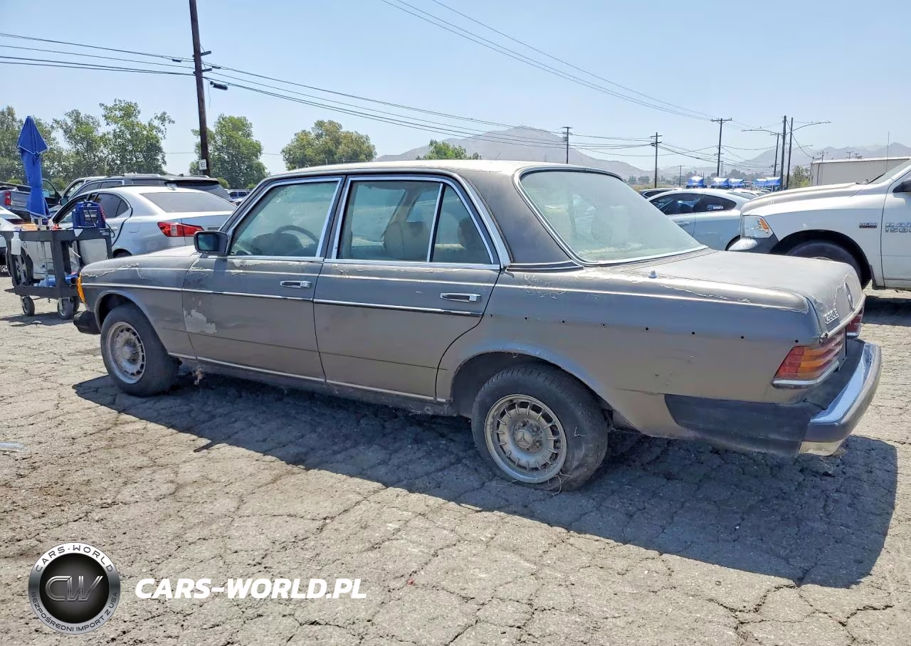 1981 Merz 280-Class VIN:WDB12303312090551 - 2