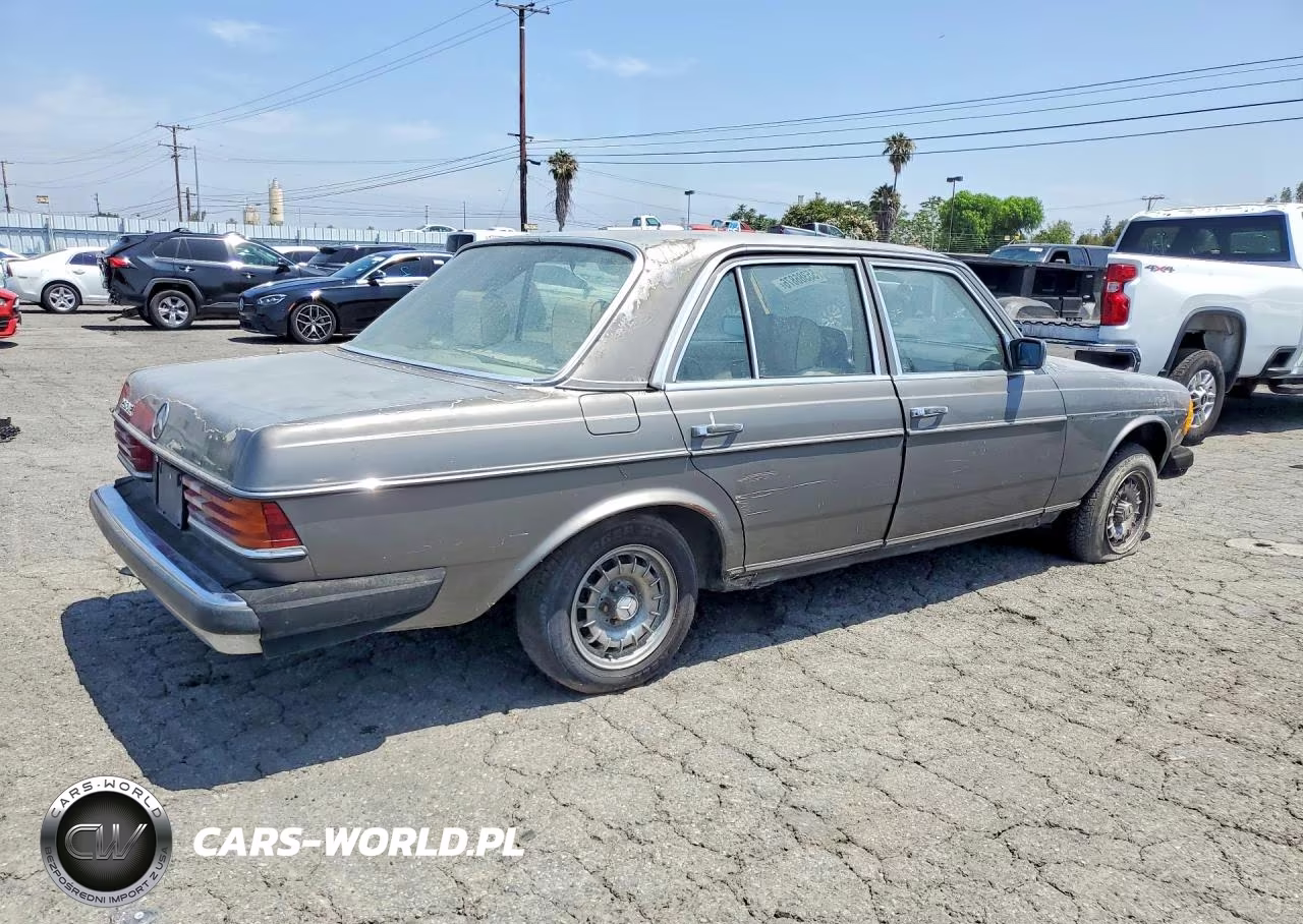 1981 Merz 280-Class VIN:WDB12303312090551 - 3