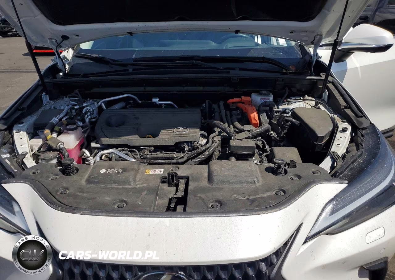 2024 Lexus Nx 450H+ Base VIN:JTJHKCFZXR2039830 - 12
