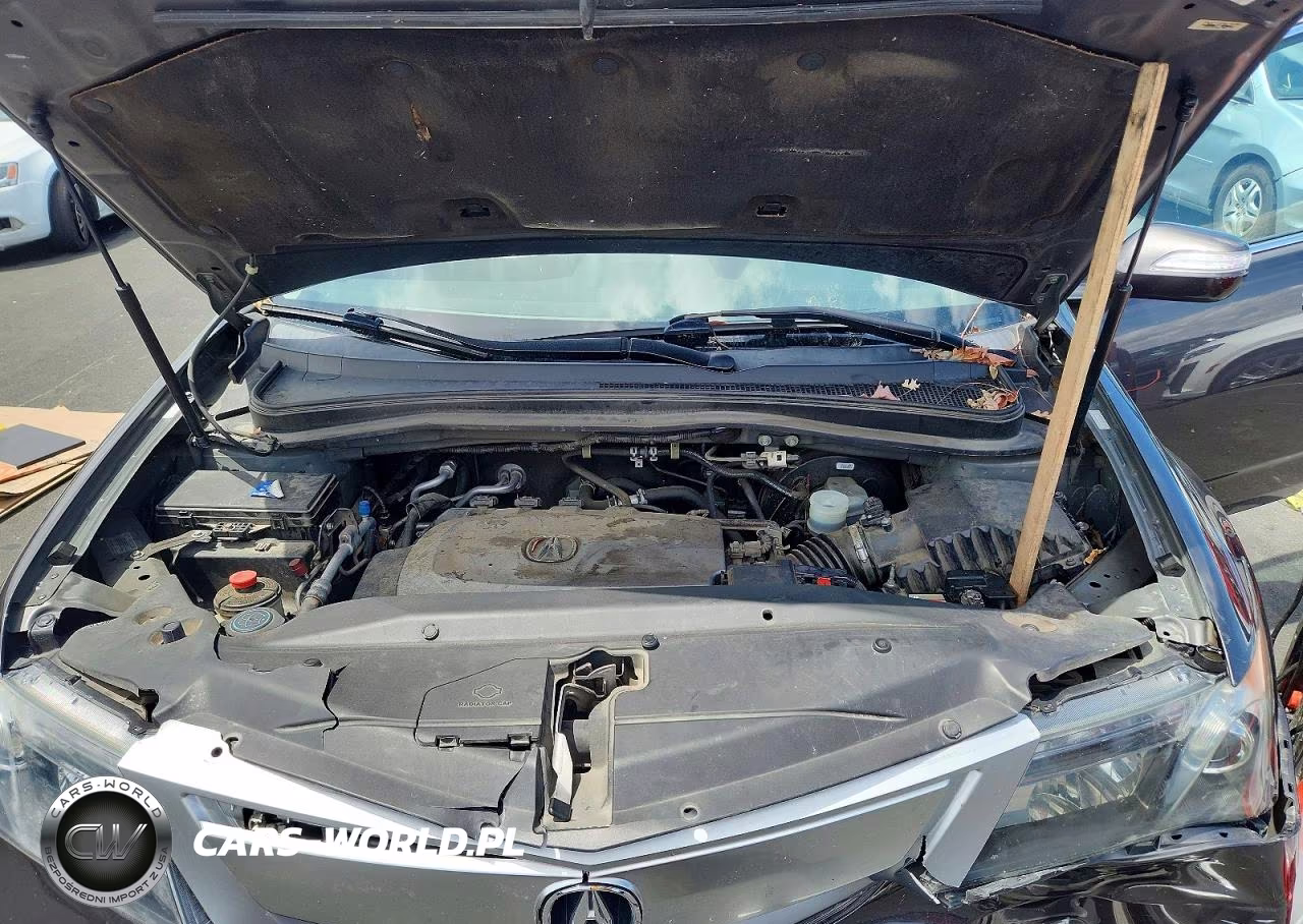 2010 Acura Mdx Technology VIN:2HNYD2H69AH519485 - 12