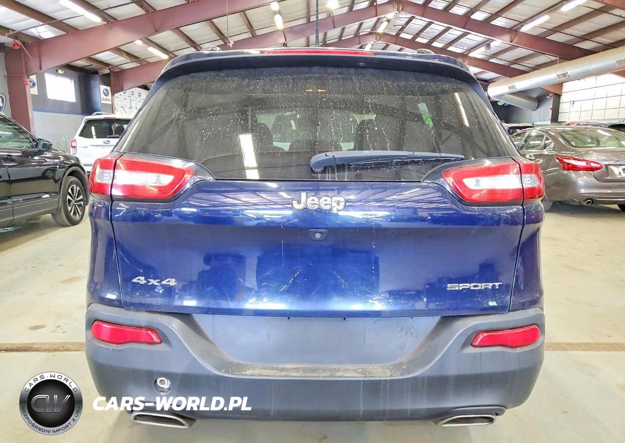 2016 Jeep Cherokee Sport VIN:1C4PJMAS1GW252043 - 6