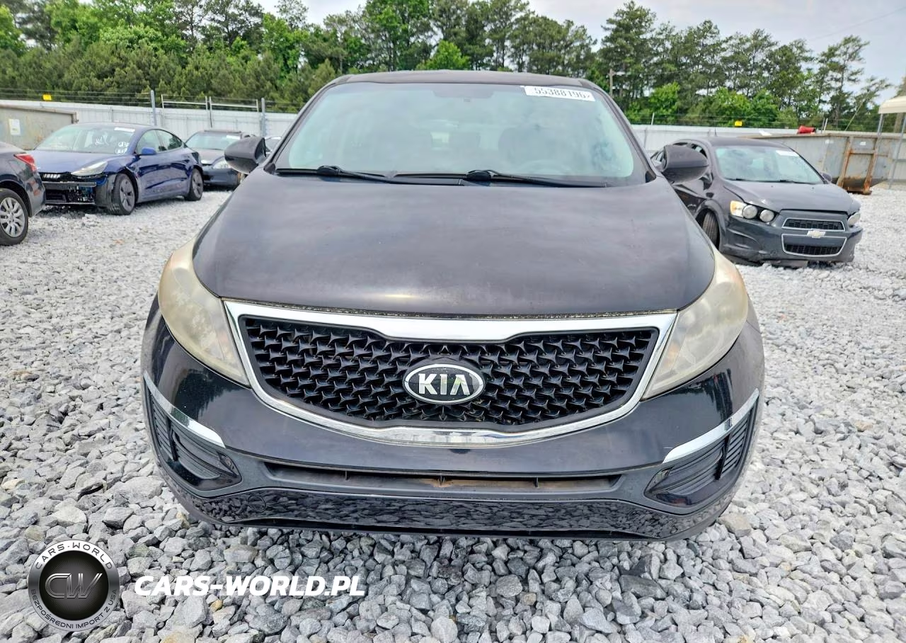 2016 Kia Sportage VIN:KNDPB3AC6G7838473 - 5