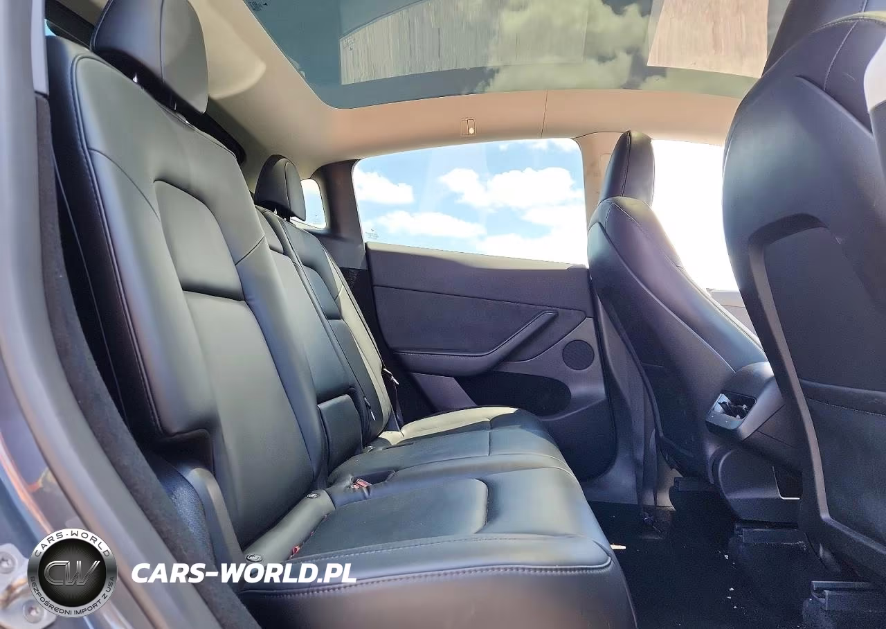 2023 Tesla Model Y VIN:7SAYGDEE3PA040255 - 10