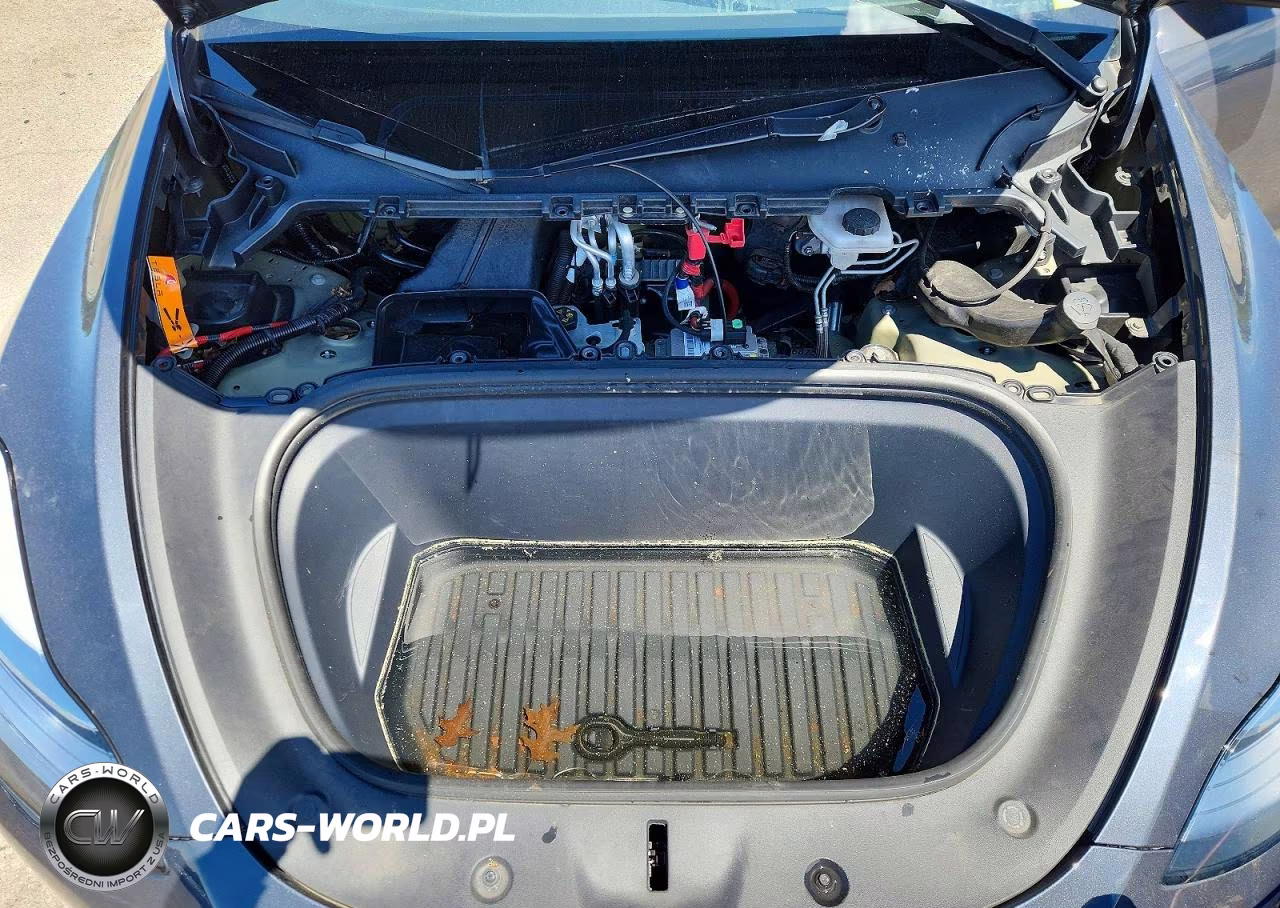 2023 Tesla Model Y VIN:7SAYGDEE3PA040255 - 11