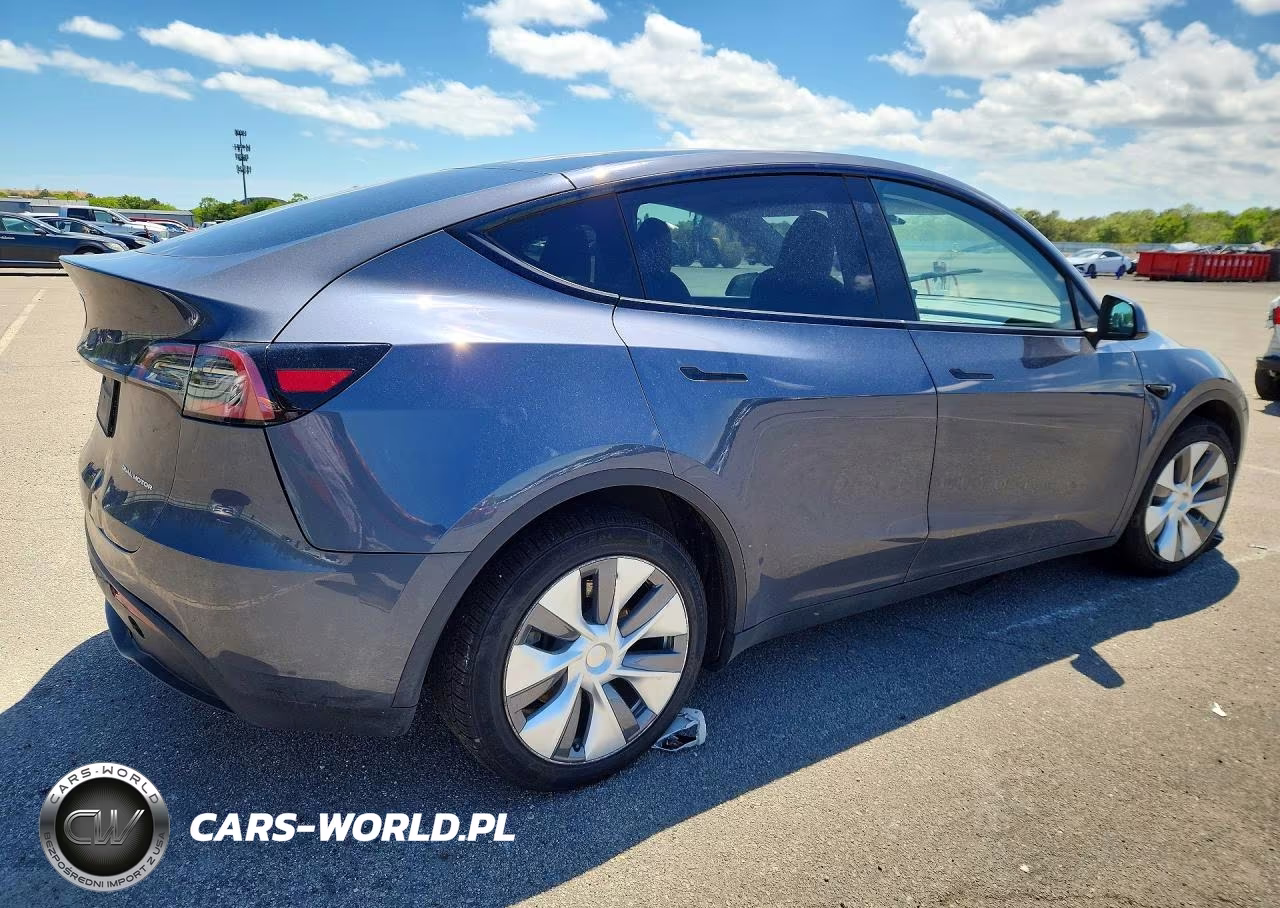 2023 Tesla Model Y VIN:7SAYGDEE3PA040255 - 3
