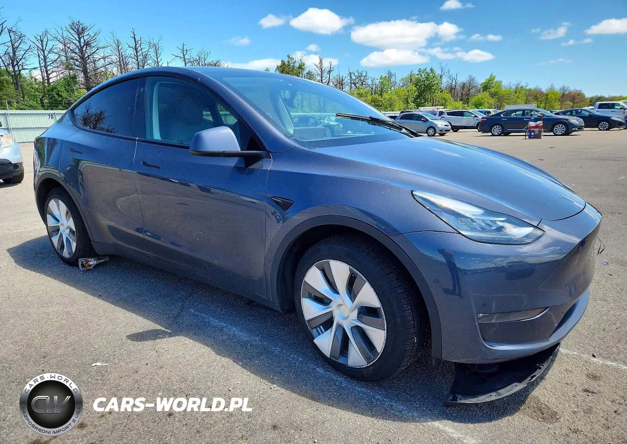 2023 Tesla Model Y VIN:7SAYGDEE3PA040255 - 4