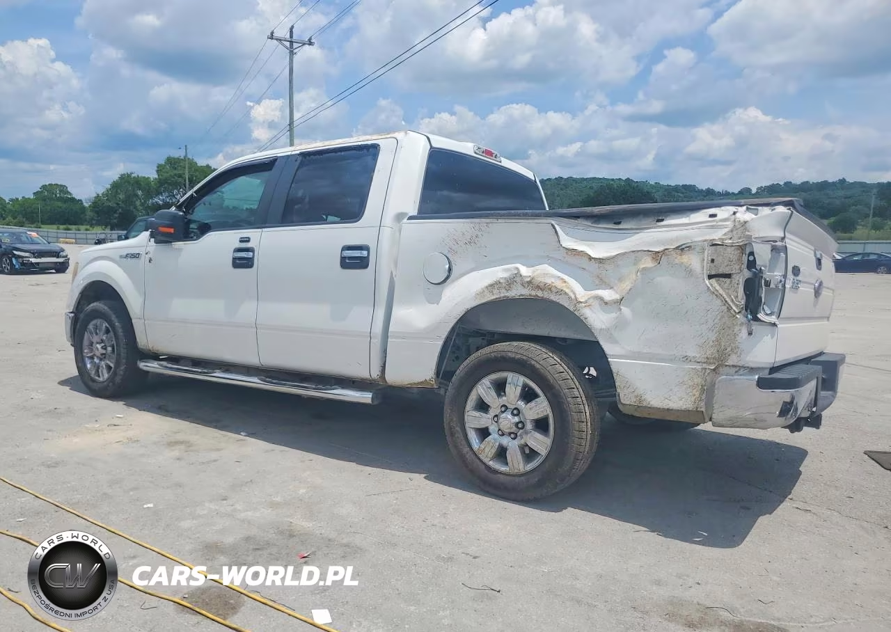 2009 Ford F150 Supercrew VIN:1FTRW12849FB06704 - 2
