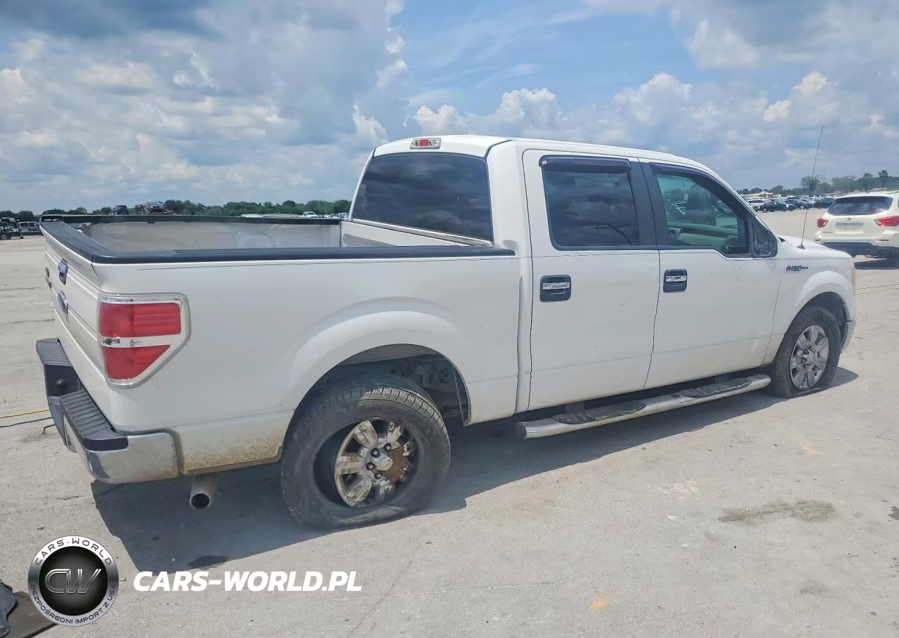2009 Ford F150 Supercrew VIN:1FTRW12849FB06704 - 3