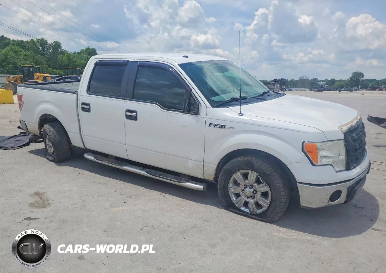 2009 Ford F150 Supercrew VIN:1FTRW12849FB06704 - 4