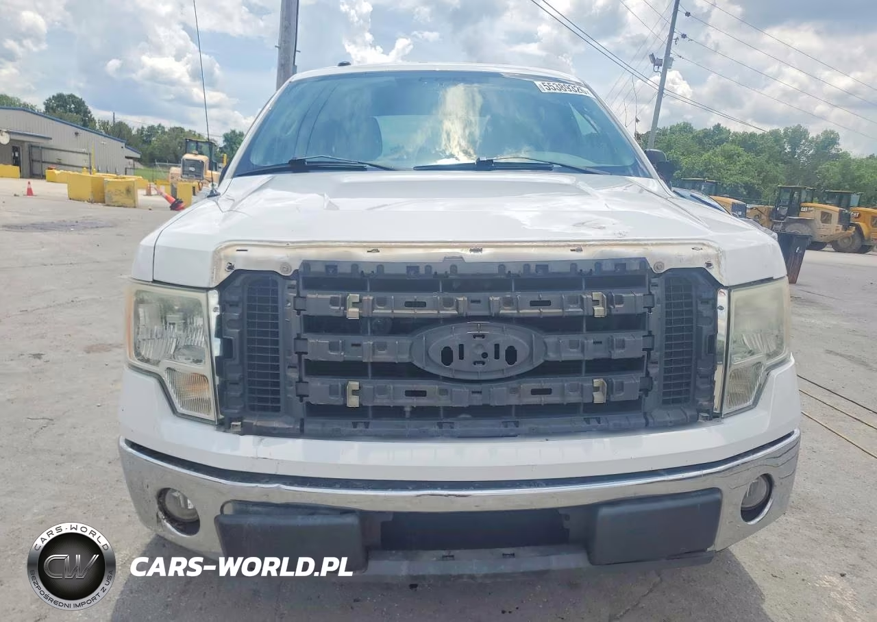2009 Ford F150 Supercrew VIN:1FTRW12849FB06704 - 5