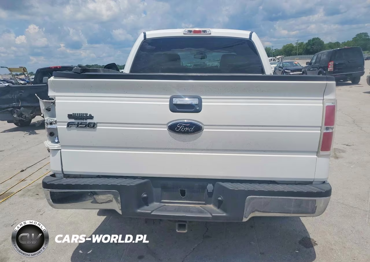 2009 Ford F150 Supercrew VIN:1FTRW12849FB06704 - 6