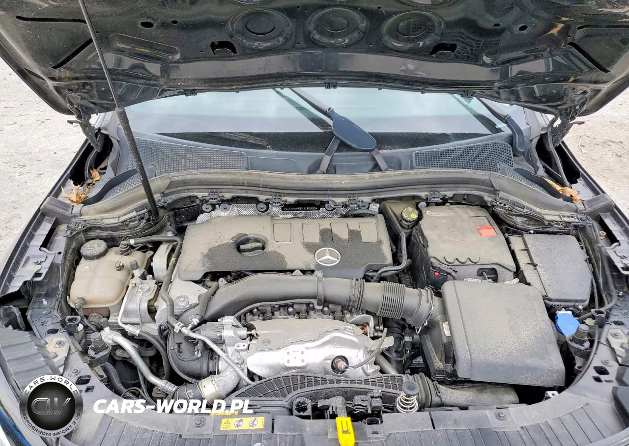 2021 Mercedes-Benz Gla 250 4Matic VIN:W1N4N4HB9MJ162895 - 12