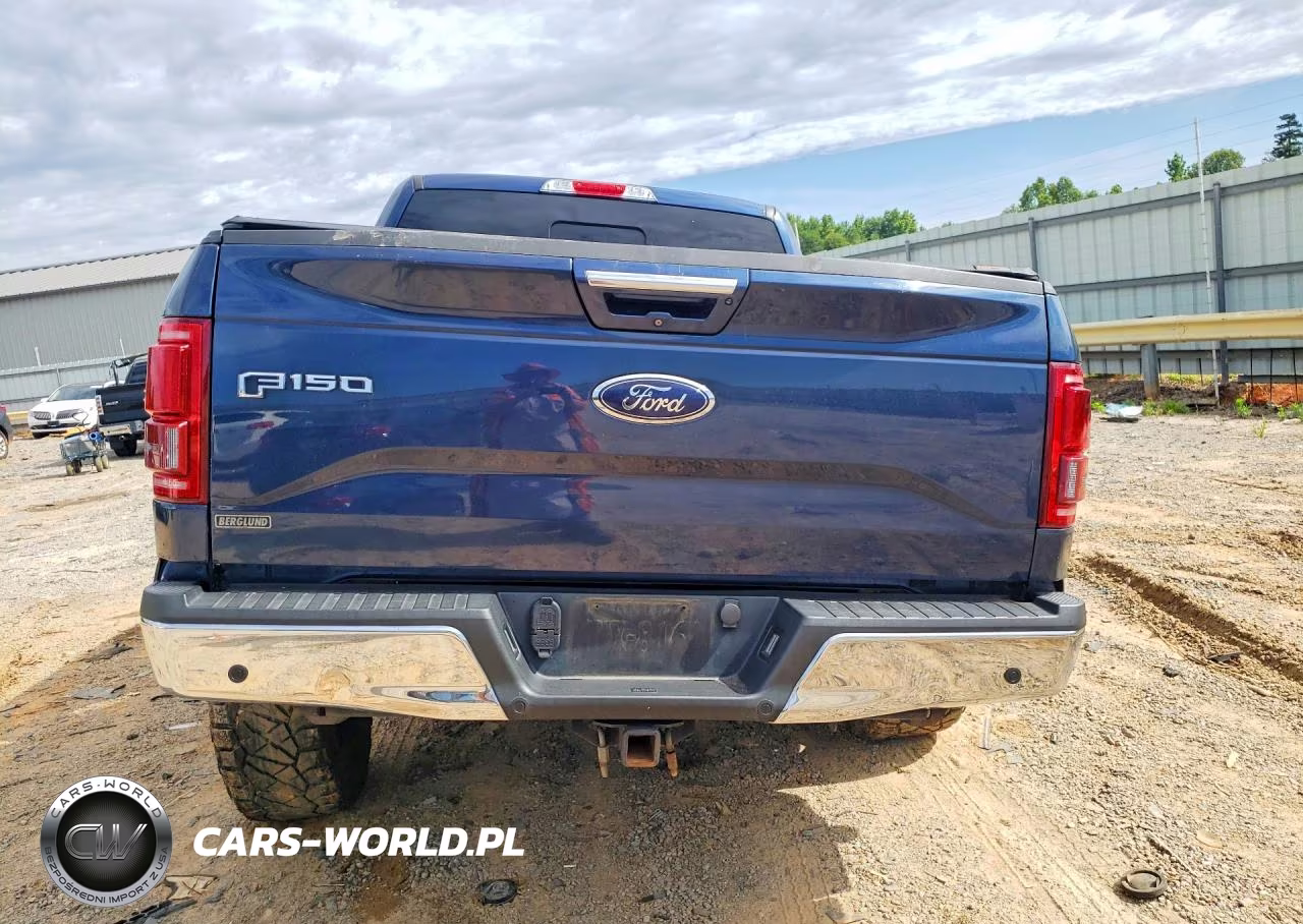 2015 Ford F150 Supercrew VIN:1FTEW1EG0FFC45337 - 6