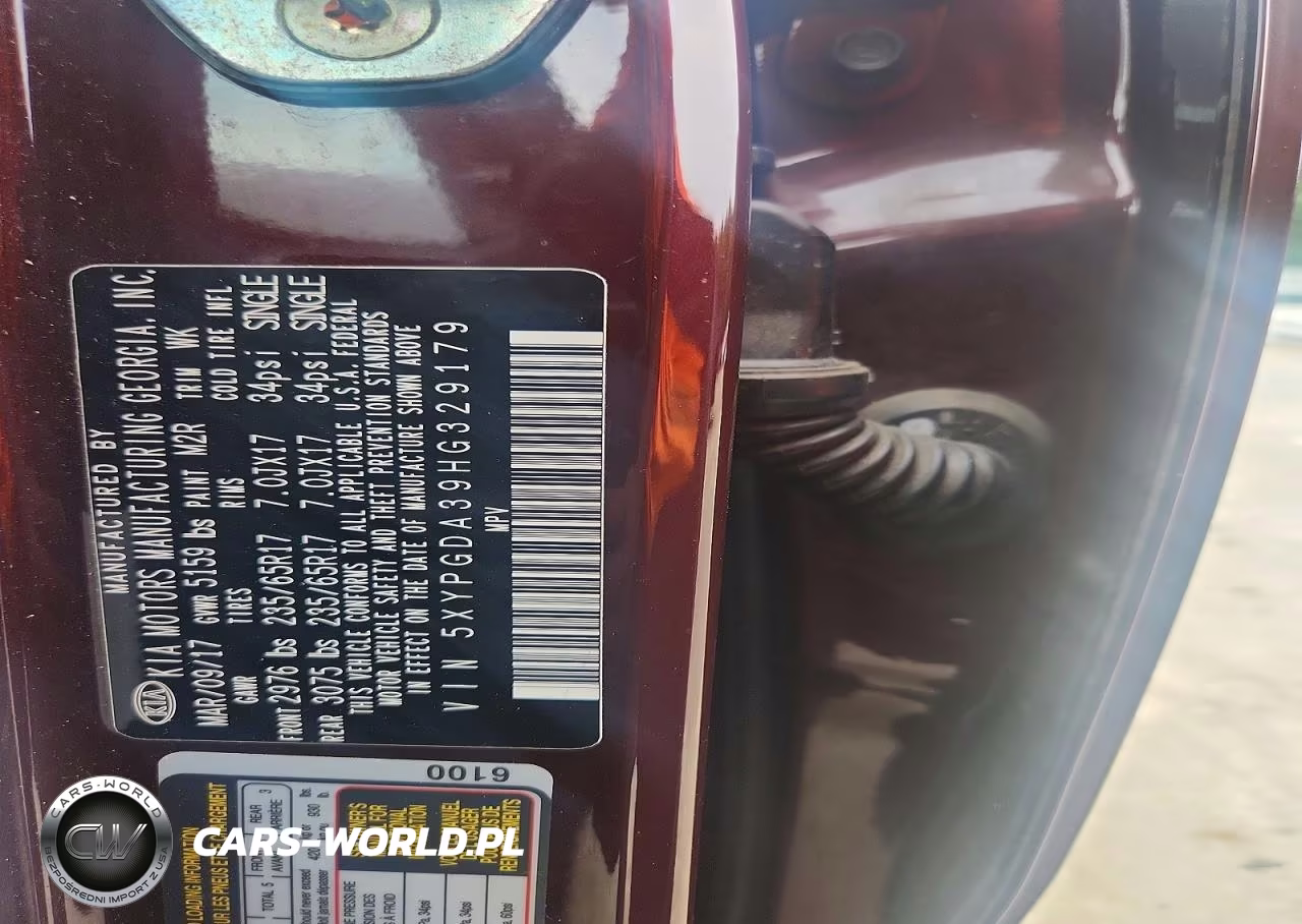 2017 Kia Sorento Lx VIN:5XYPGDA39HG329179 - 12