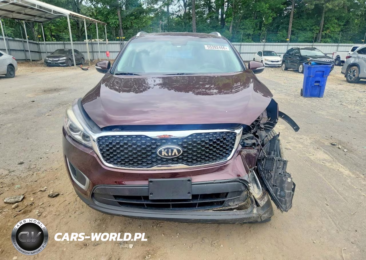 2017 Kia Sorento Lx VIN:5XYPGDA39HG329179 - 5