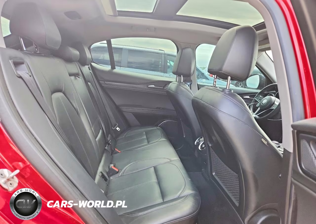 2019 Alfa Romeo Stelvio VIN:ZASPAKAN2K7C42419 - 10