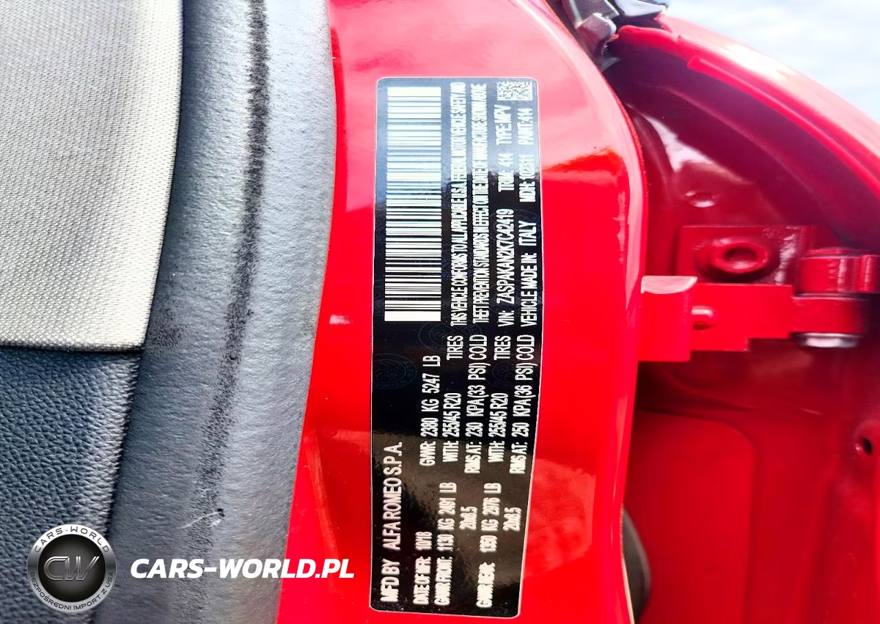 2019 Alfa Romeo Stelvio VIN:ZASPAKAN2K7C42419 - 12