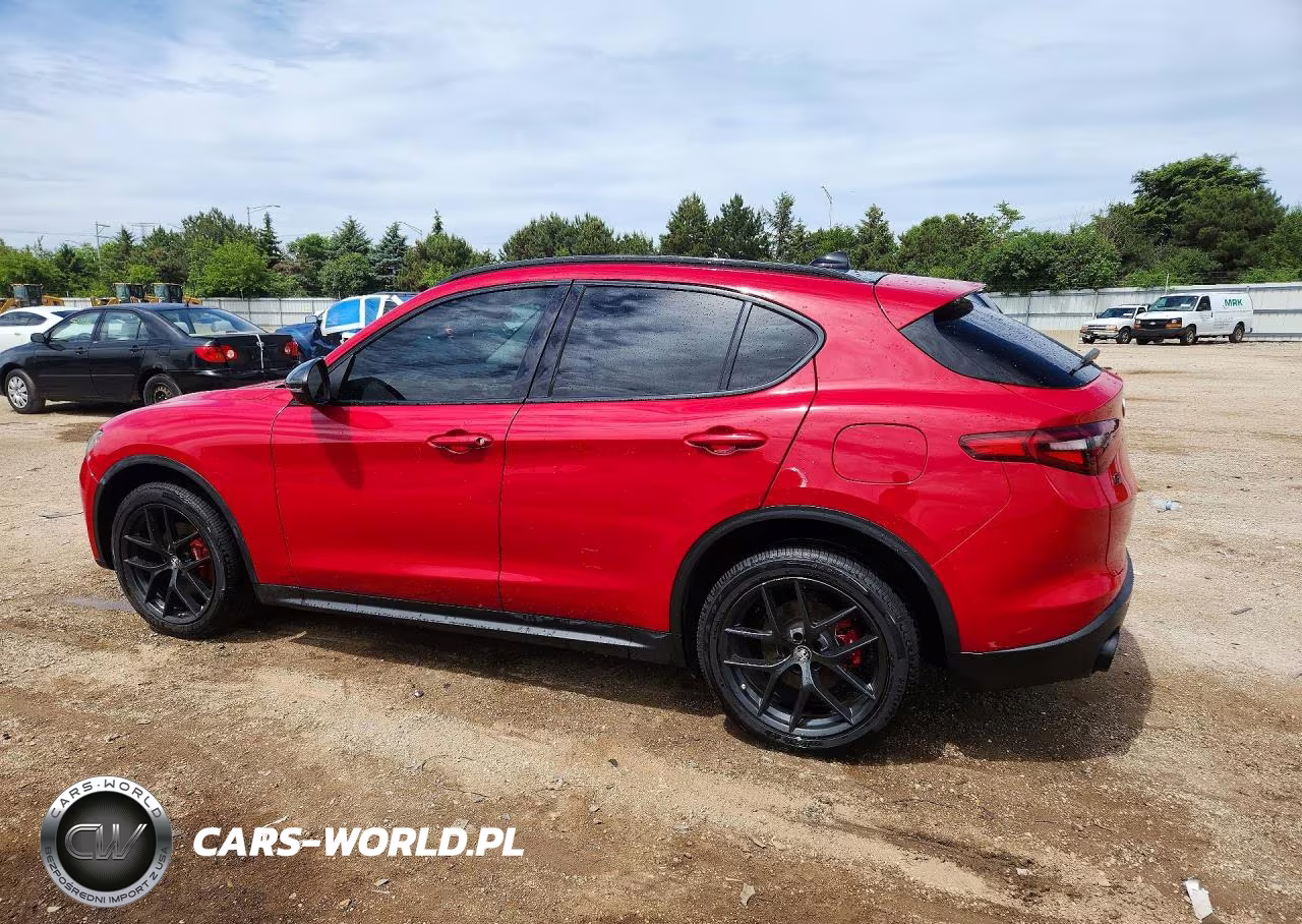2019 Alfa Romeo Stelvio VIN:ZASPAKAN2K7C42419 - 2