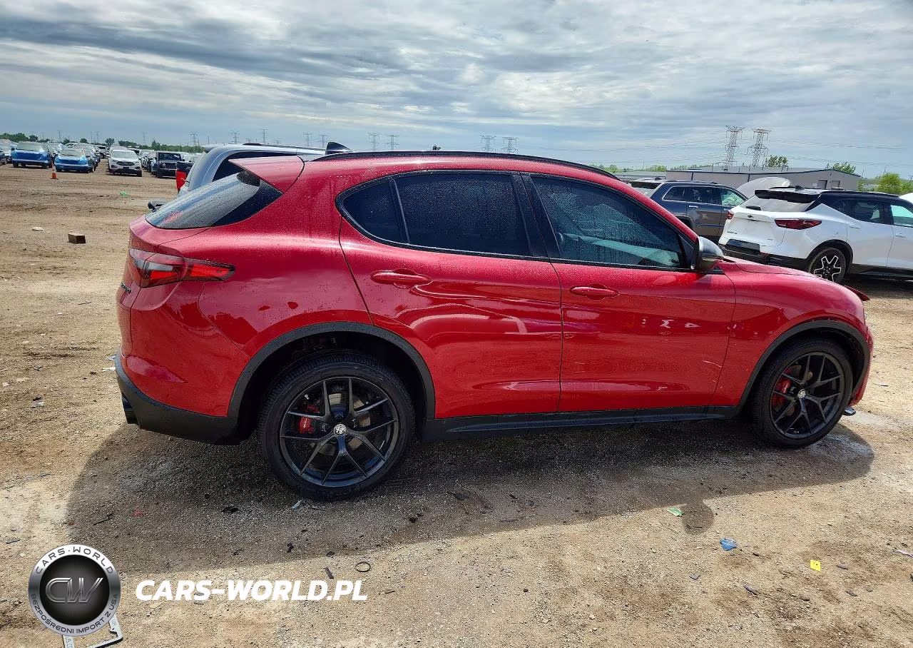 2019 Alfa Romeo Stelvio VIN:ZASPAKAN2K7C42419 - 3