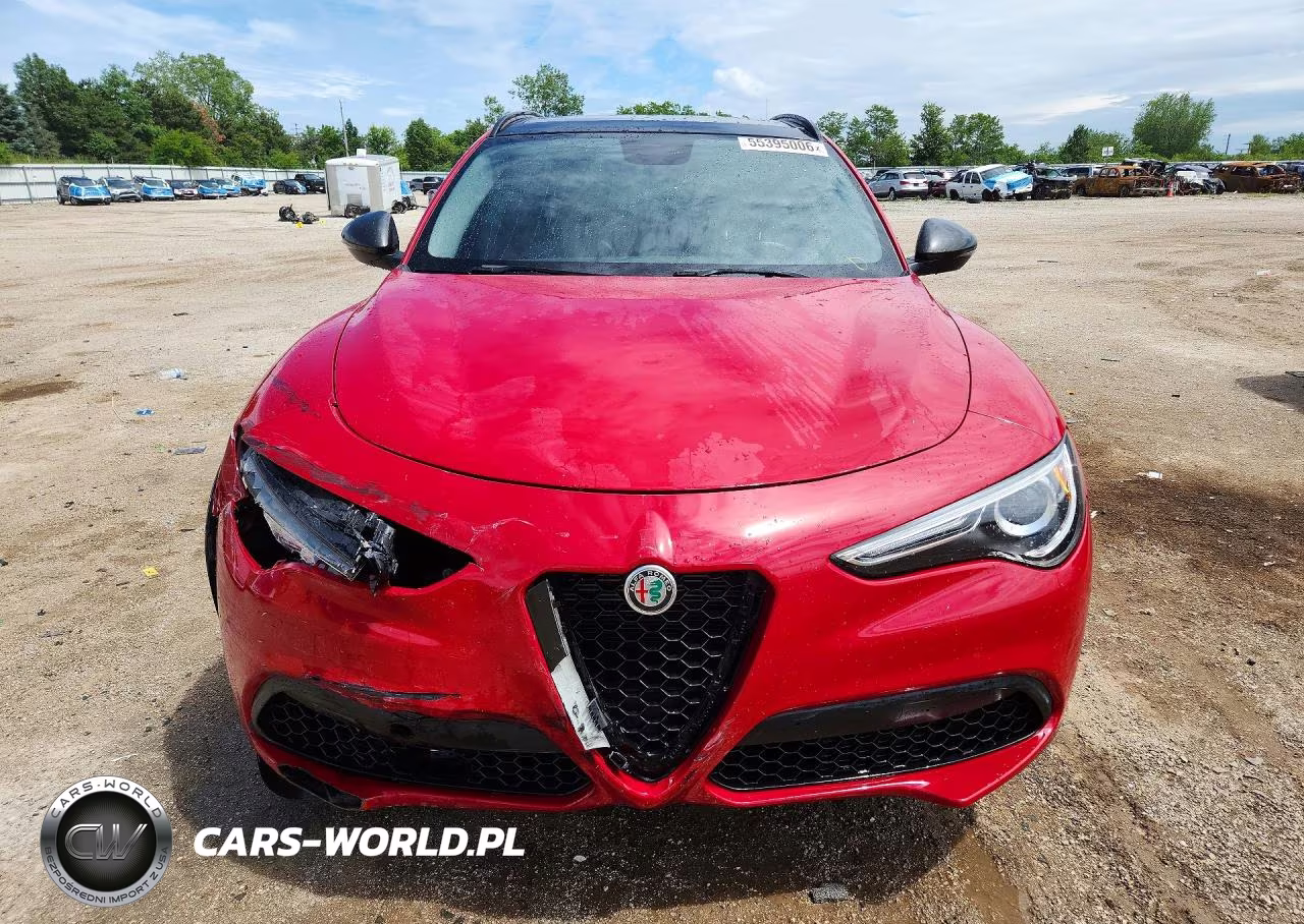 2019 Alfa Romeo Stelvio VIN:ZASPAKAN2K7C42419 - 5