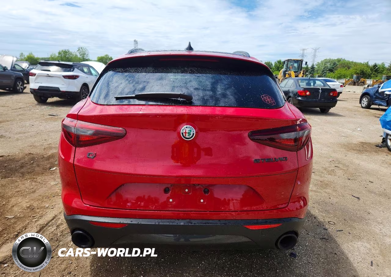 2019 Alfa Romeo Stelvio VIN:ZASPAKAN2K7C42419 - 6