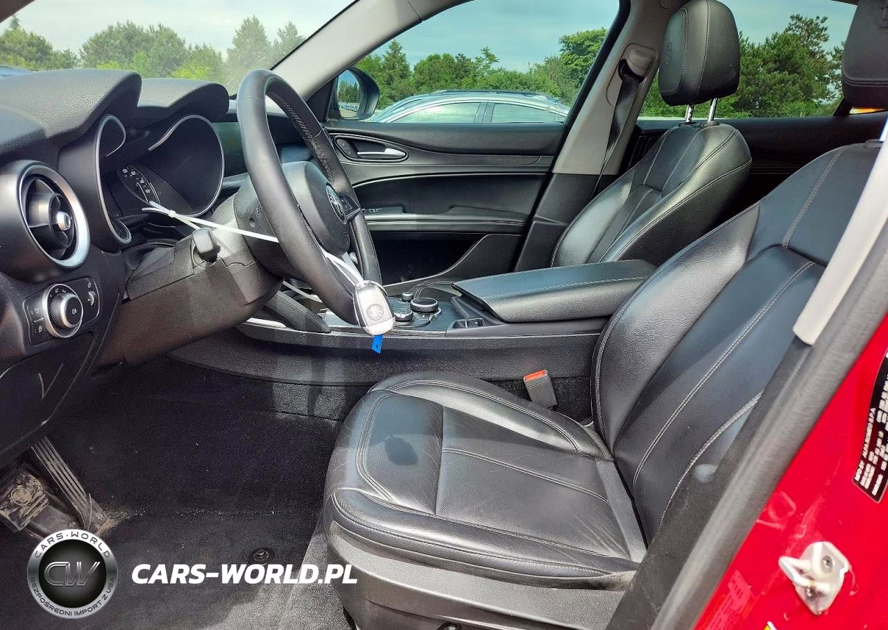 2019 Alfa Romeo Stelvio VIN:ZASPAKAN2K7C42419 - 7