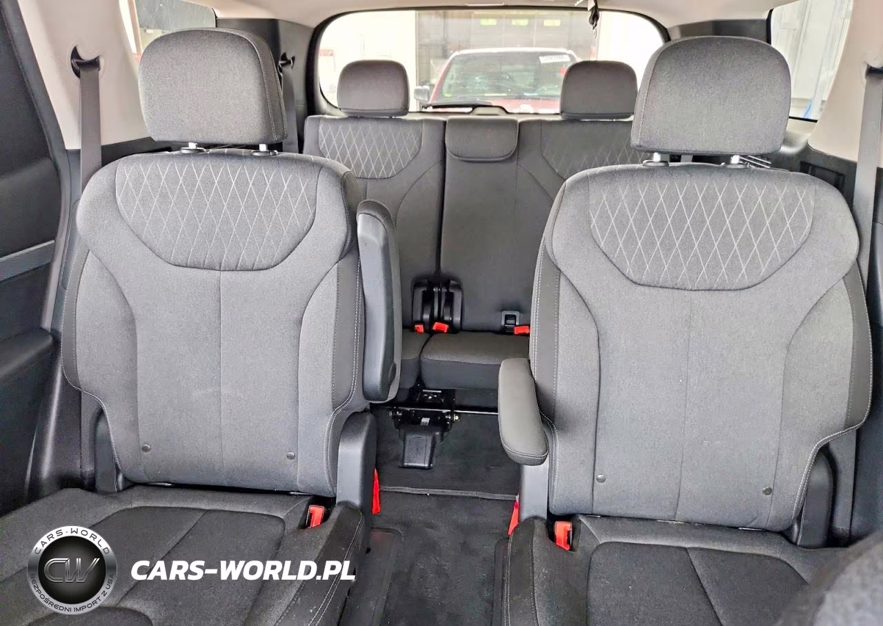 2020 Hyundai Palisade VIN:KM8R2DHE5LU050622 - 10