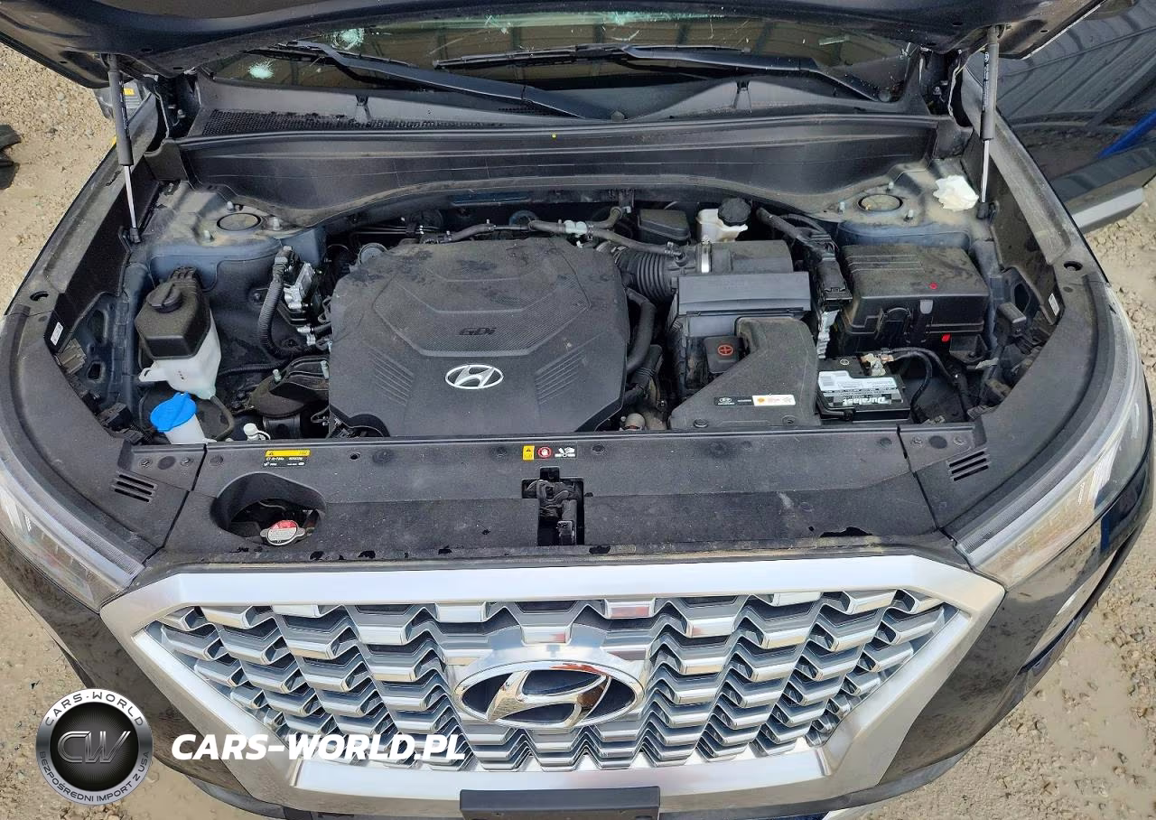 2020 Hyundai Palisade VIN:KM8R2DHE5LU050622 - 12