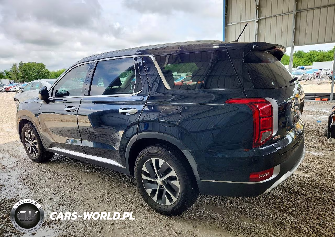 2020 Hyundai Palisade VIN:KM8R2DHE5LU050622 - 2