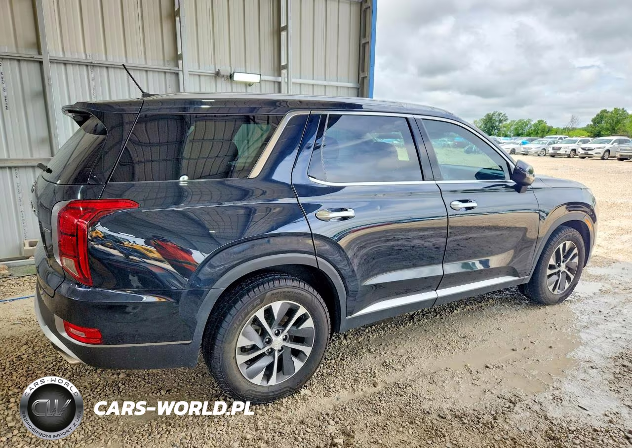 2020 Hyundai Palisade VIN:KM8R2DHE5LU050622 - 3
