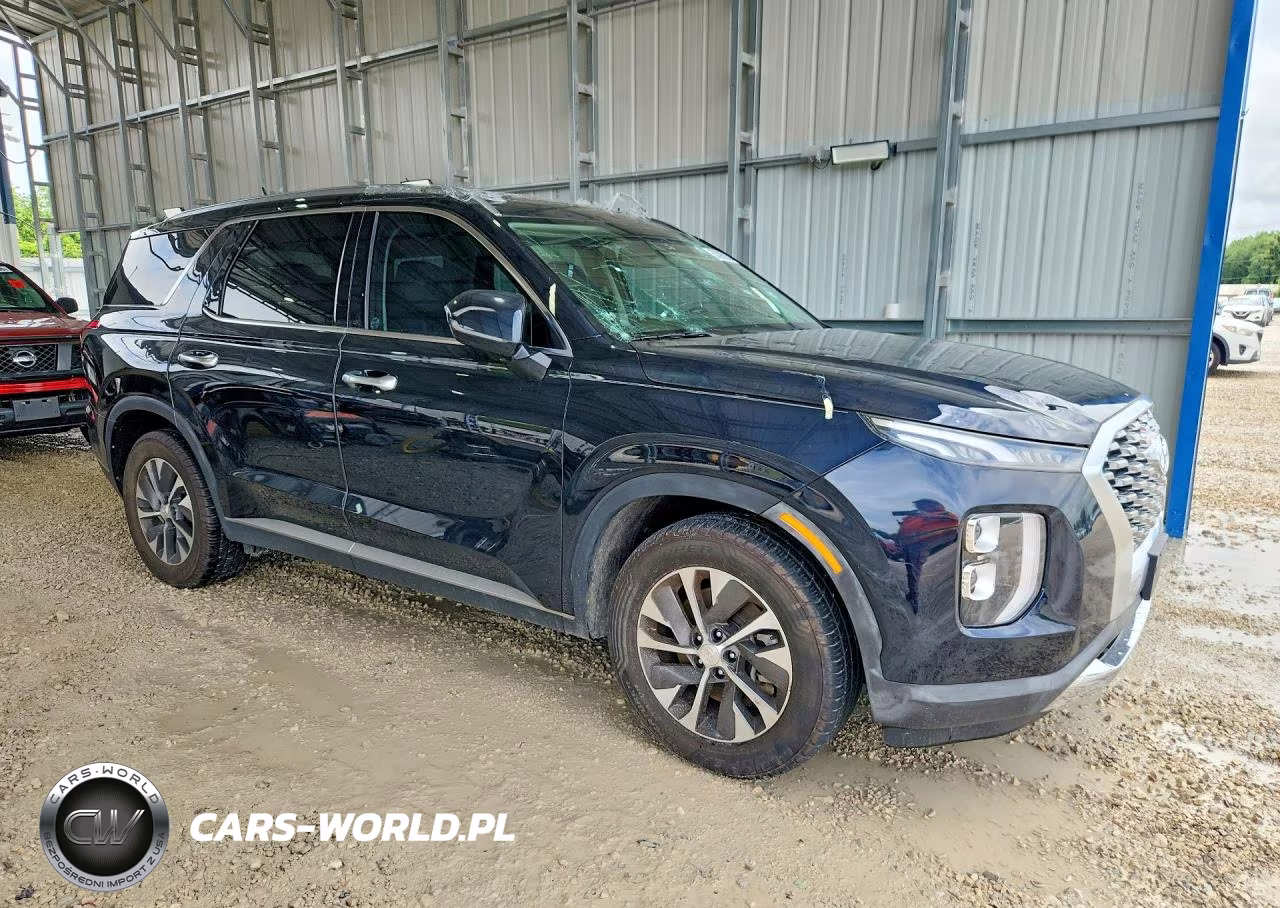 2020 Hyundai Palisade VIN:KM8R2DHE5LU050622 - 4