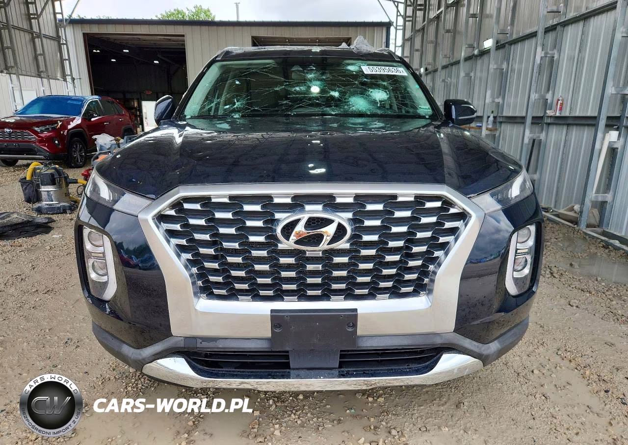 2020 Hyundai Palisade VIN:KM8R2DHE5LU050622 - 5