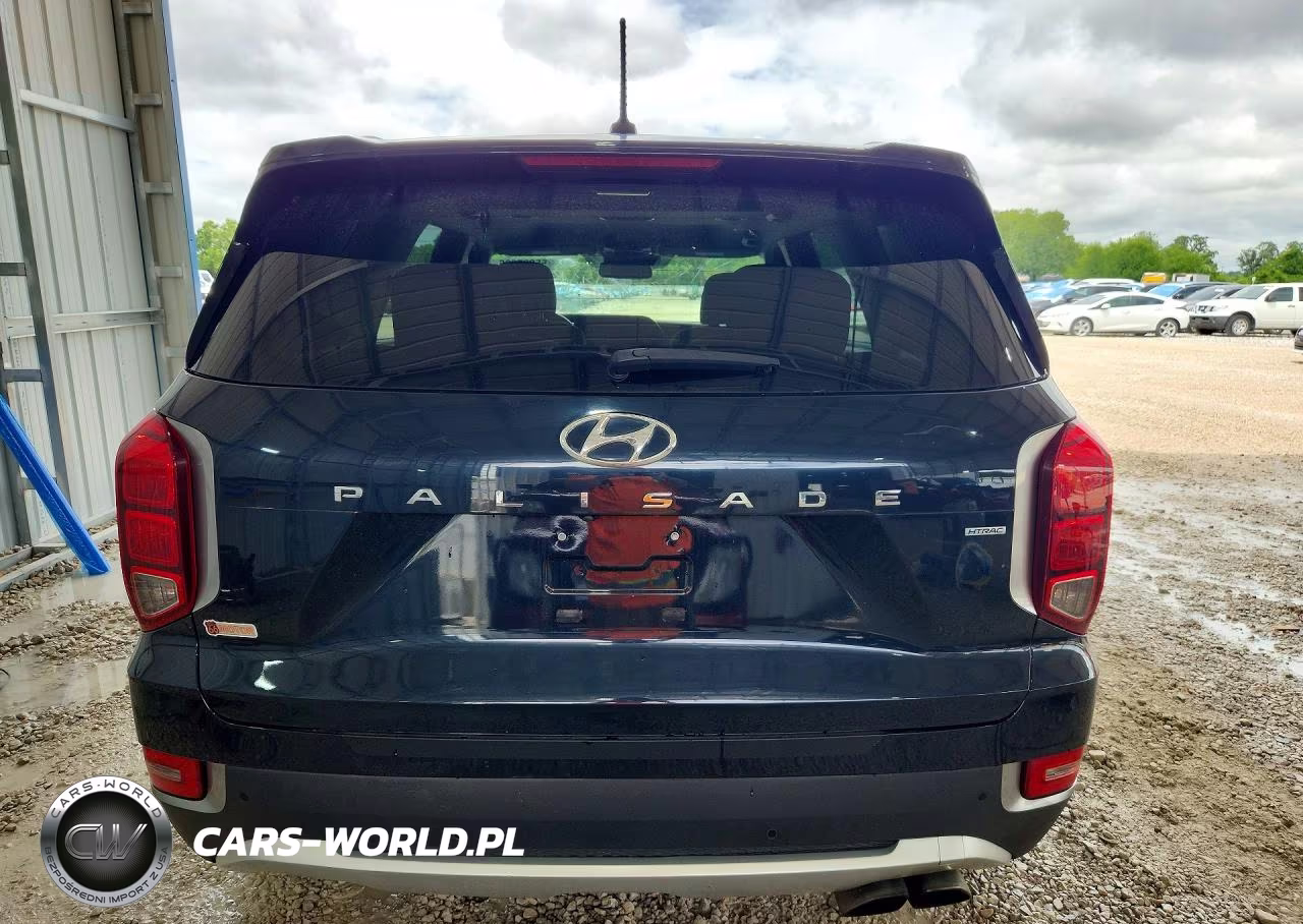 2020 Hyundai Palisade VIN:KM8R2DHE5LU050622 - 6