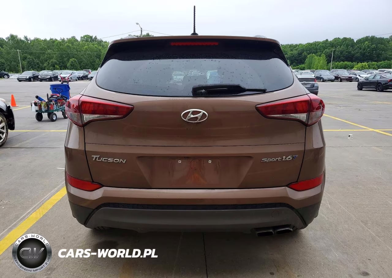 2016 Hyundai Tucson Sport VIN:KM8J33A2XGU124479 - 6
