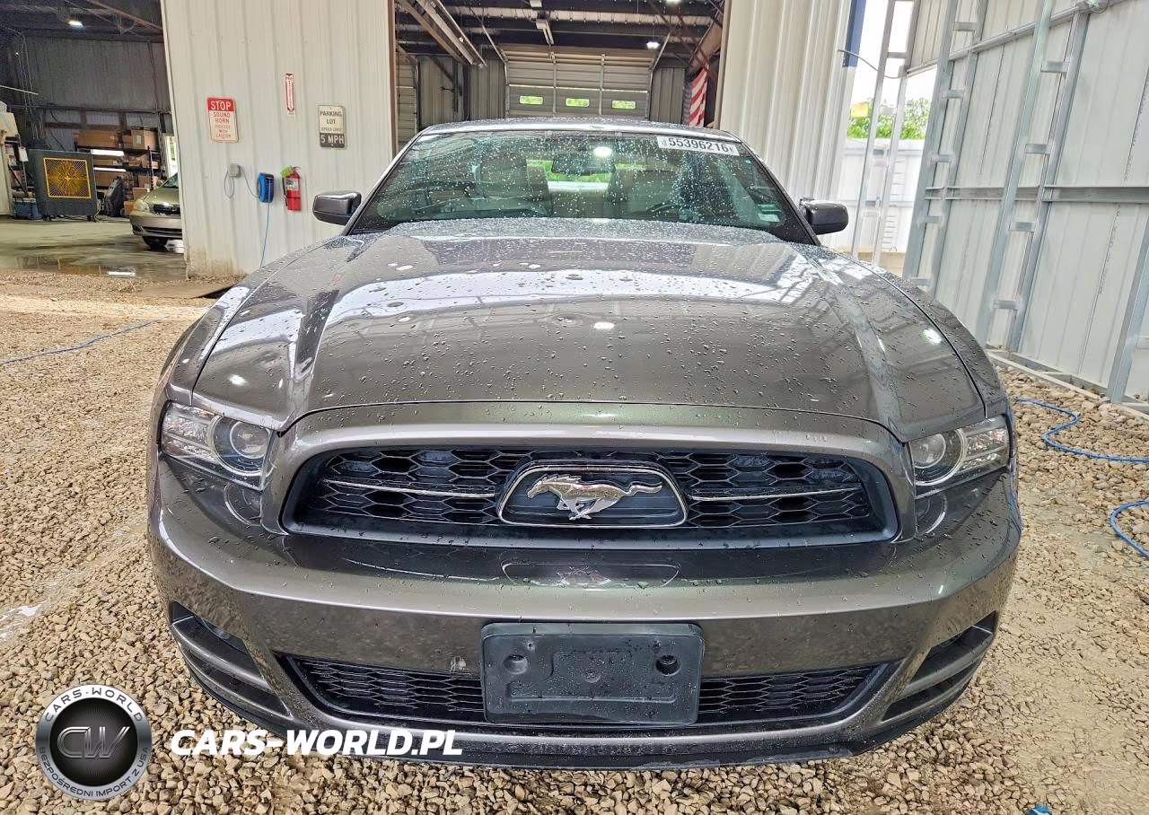 2014 Ford Mustang VIN:1ZVBP8AM2E5288387 - 5