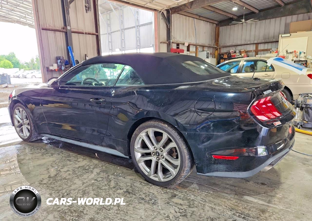2019 Ford Mustang VIN:1FATP8UH5K5204537 - 2