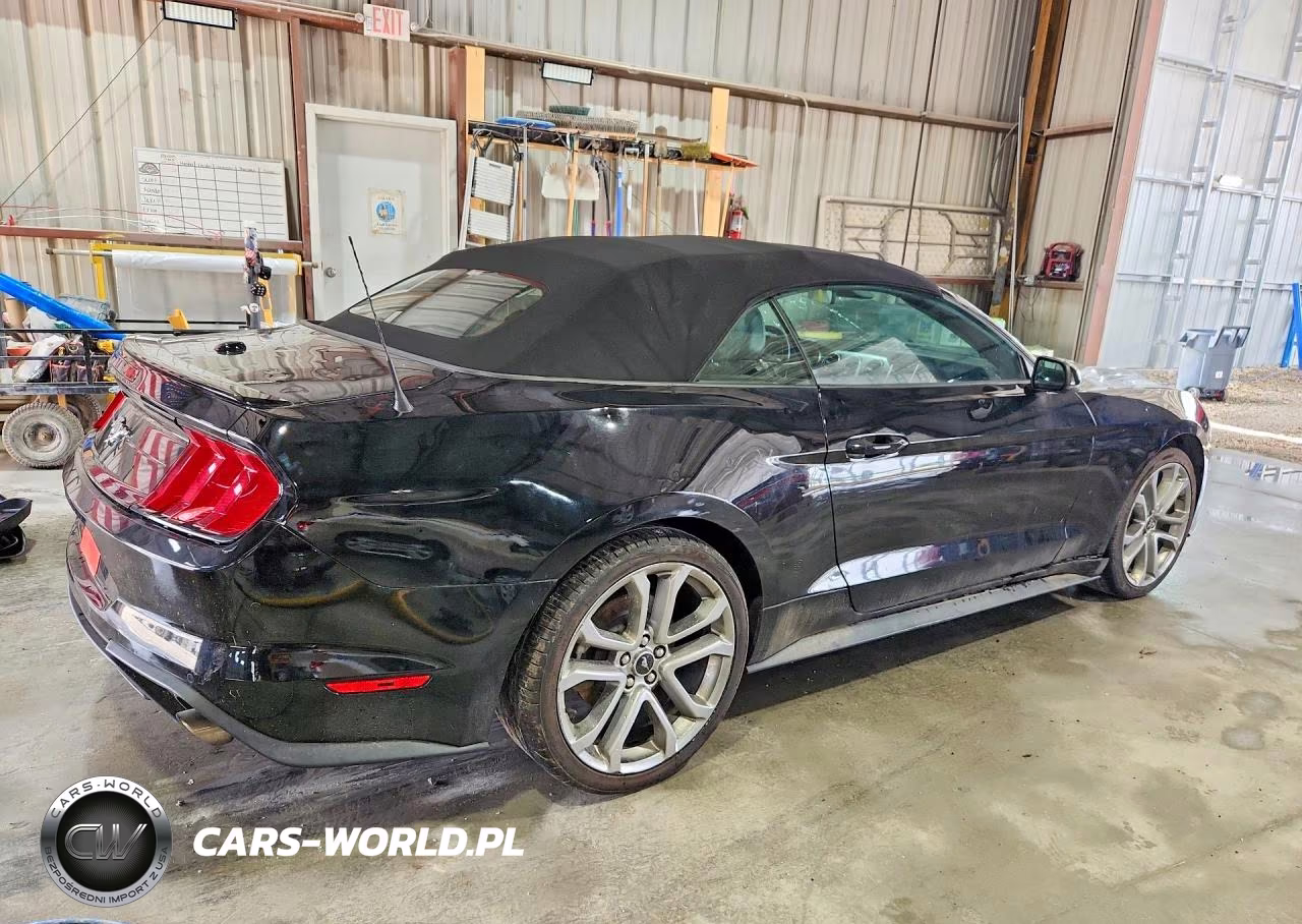 2019 Ford Mustang VIN:1FATP8UH5K5204537 - 3