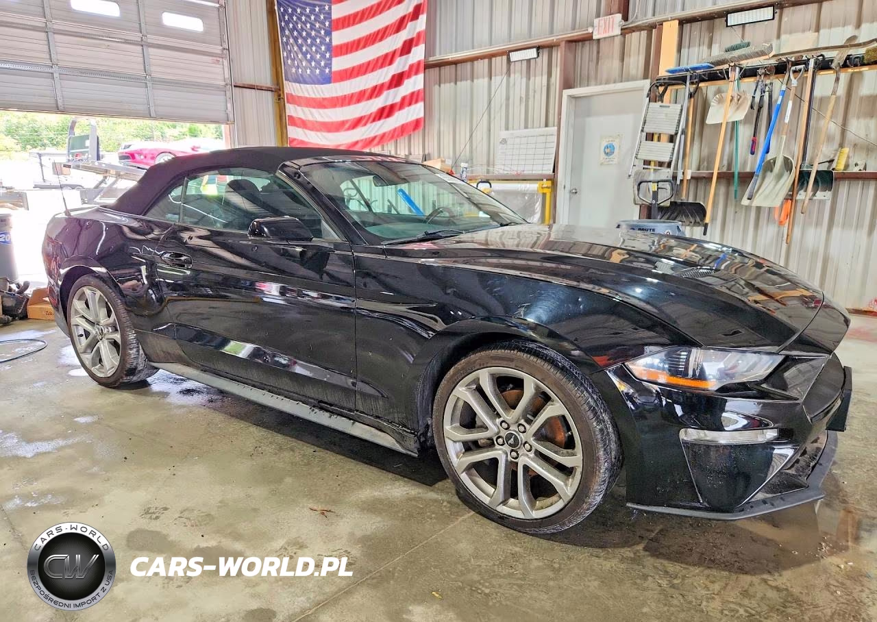2019 Ford Mustang VIN:1FATP8UH5K5204537 - 4