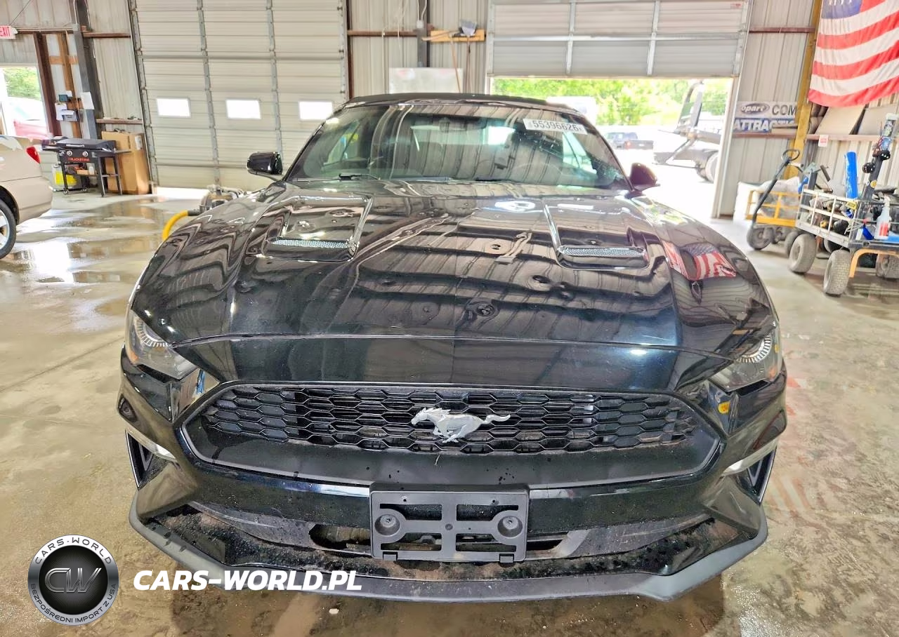2019 Ford Mustang VIN:1FATP8UH5K5204537 - 5