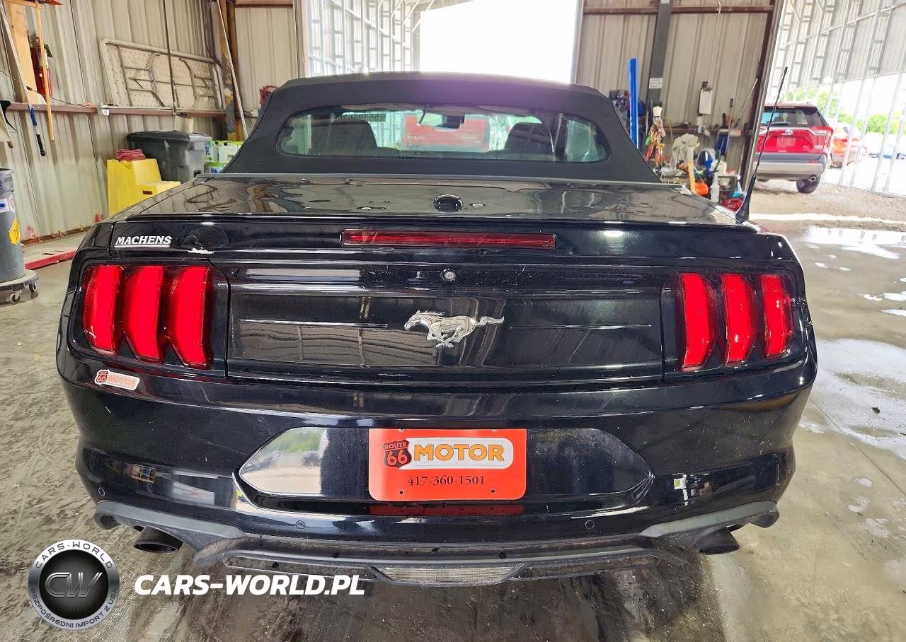 2019 Ford Mustang VIN:1FATP8UH5K5204537 - 6