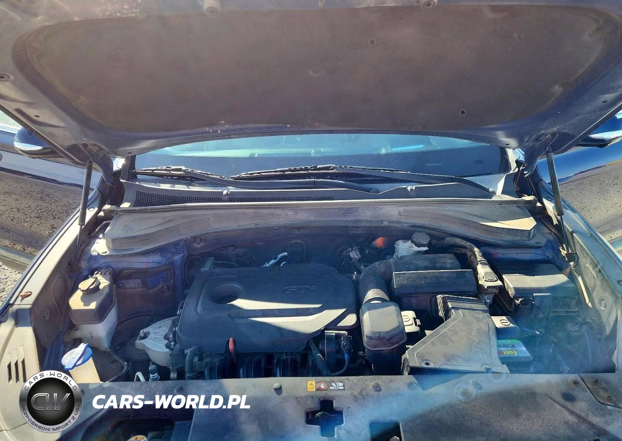 2020 Hyundai Santa Fe Limited VIN:5NMS53ADXLH226645 - 12